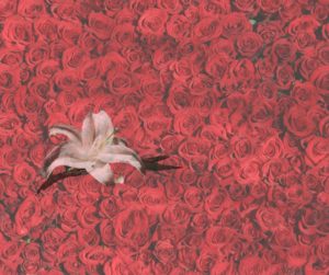 アラフィフ世代を自分らしく輝いた女性たち〜大宮エリーさんと中山美穂さんに学ぶ生き方